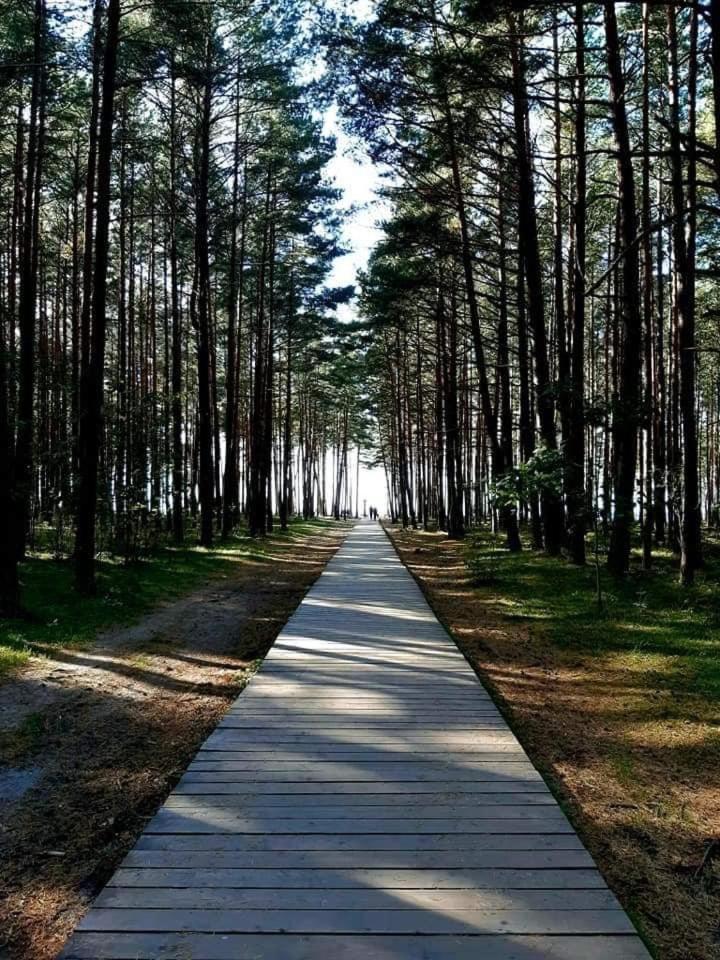 Žalia Kopa Apartments Palanga Bagian luar foto